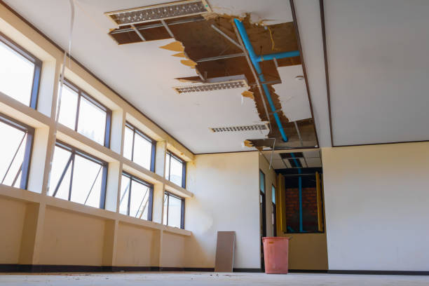 Best Professional water damage repair  in Bethel Acres, OK