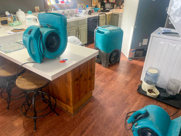 Best Commercial water damage restoration  in Bethel Acres, OK