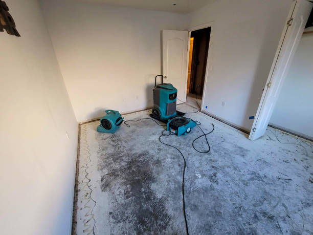 Best Sewage cleanup and water damage restoration  in Bethel Acres, OK