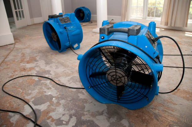Best Local water damage restoration  in Bethel Acres, OK